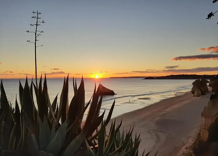Mar